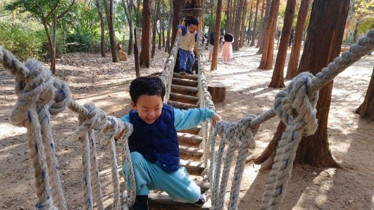 아이와 함께 주말 나들이 가볼만한곳 월드컵공원 "유아숲체험원"