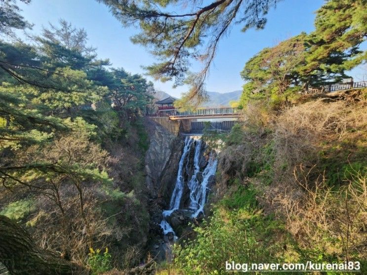 의림지호수, 제천 가볼만 한곳,제천 산책하기 좋은곳,의림지...