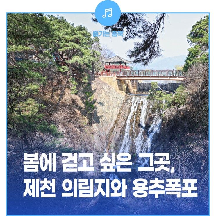 봄에 걷고 싶은 제천의 그곳, 의림지와 용추폭포!