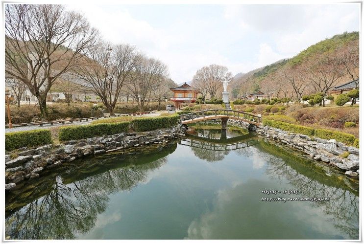 충북 제천 가볼만한곳 의림지,배론성지,박달재