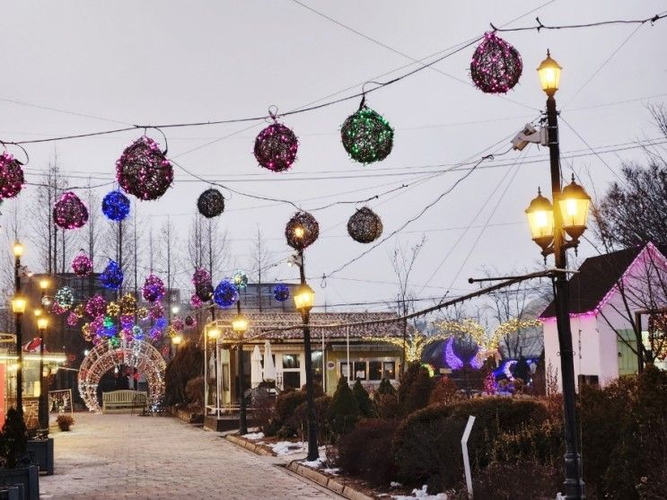 [뭐하지] 러브 인 프로방스 빛 축제! 파주 프로방스 마을을 가다...