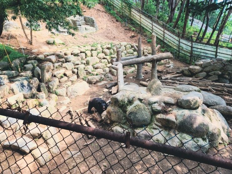 구례 아이와 가볼만한 곳, 지리산 반달가슴곰 생태학습장 예약