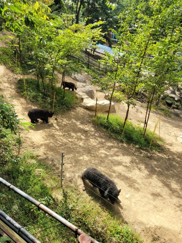 지리산 반달가슴곰 생태학습장 예약 방법 (굿즈 종류, 판매 가격)