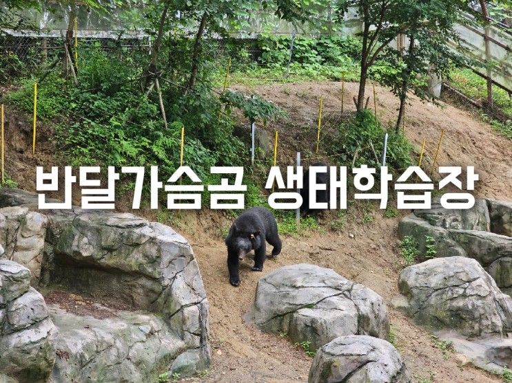 친구 반달가슴곰을 만날 수 있는 구례 반달가슴곰 생태학습장