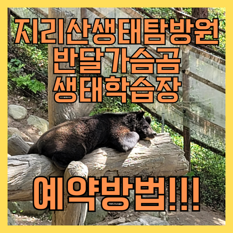 지리산 국립공원 생태탐방원/ 반달가슴곰 생태학습장 무료...