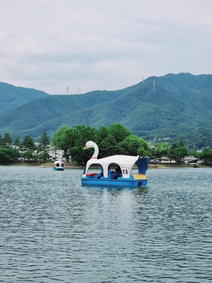 제천 의림지 오리배 타기 아이와 가볼만한곳 추천해요