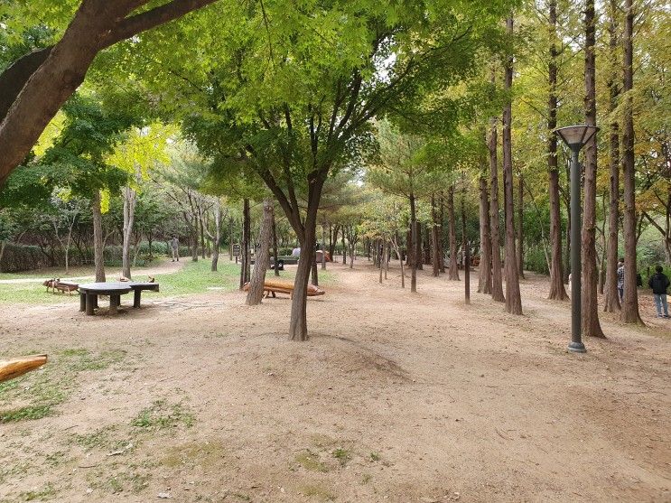 서울 아이랑 나들이 - 상암 월드컵공원 유아숲체험원