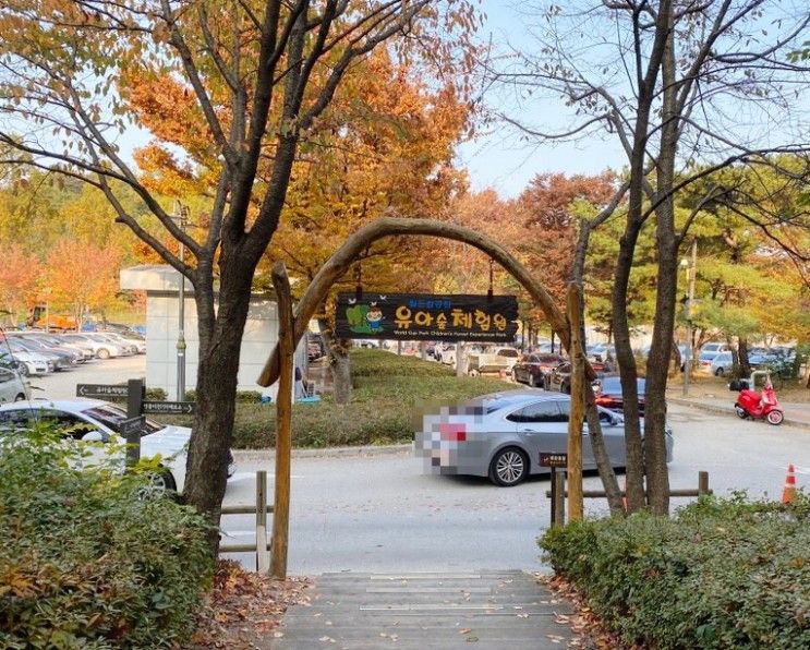 상암 월드컵공원 유아숲체험원,서울 15개월 아기랑 갈만한 곳