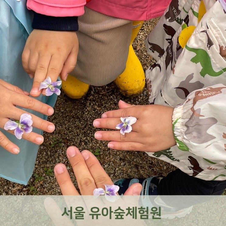 서울 유아숲체험원 숲에온아이들