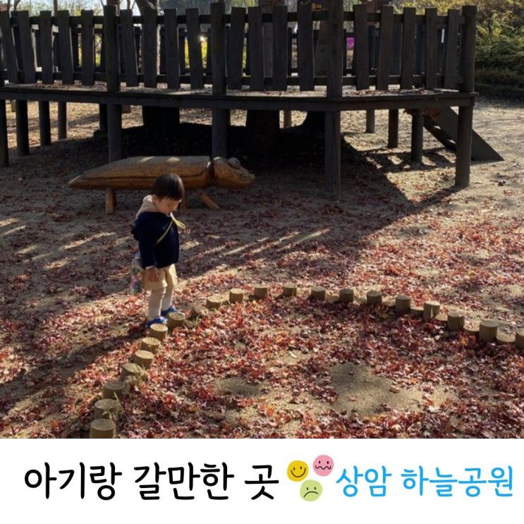서울 상암 하늘공원(맹꽁이 전기차) + 유아숲체험원 추천!