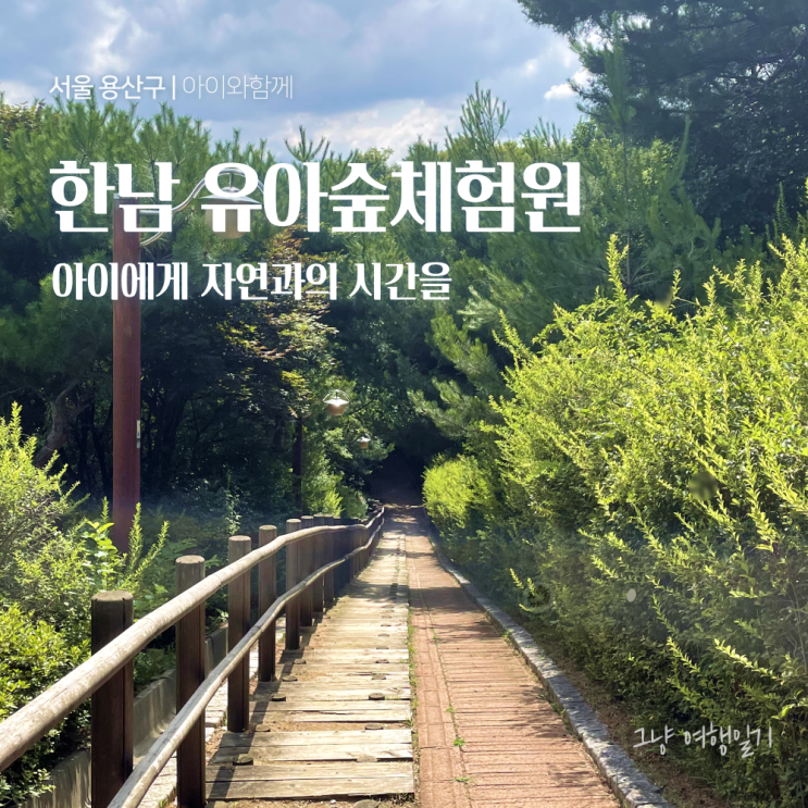 한남 유아숲체험원 | 서울 용산구 아이랑가볼만한곳 자연체험