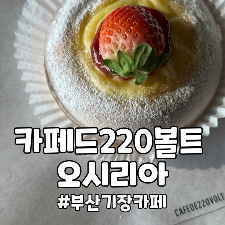 부산기장 이케아동부산 근처카페 '카페드220볼트 오시리아'