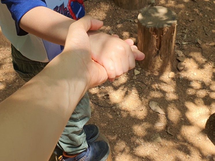 가볼만한 곳 봉제산 숲속놀이터 이용가능시간 봉제산책쉼터