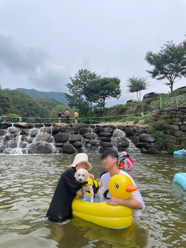 [군위 동산계곡] 취사가능 평상대여 솔밭쉼터 (+애견동반)