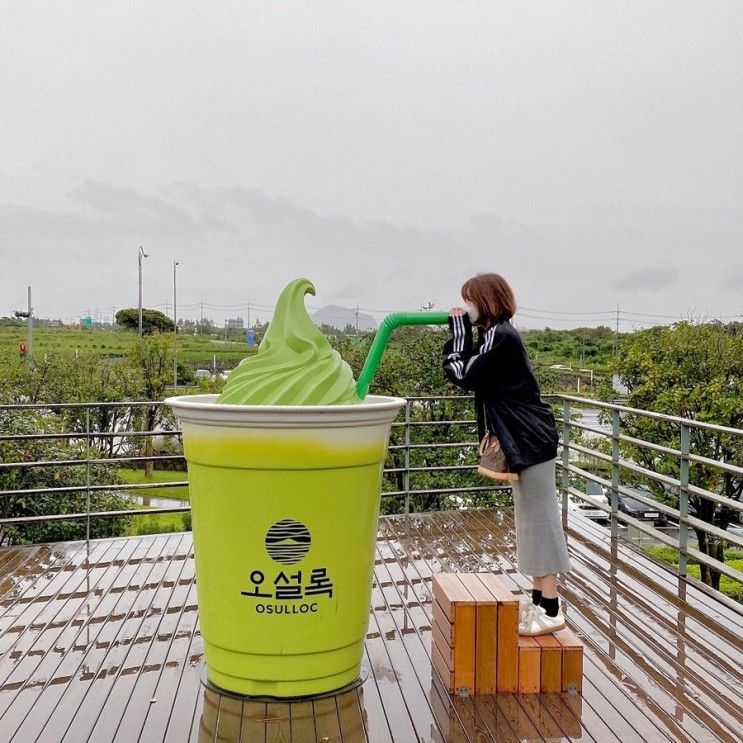 제주 오설록 티뮤지엄 드디어 갔다 (메뉴 추천)