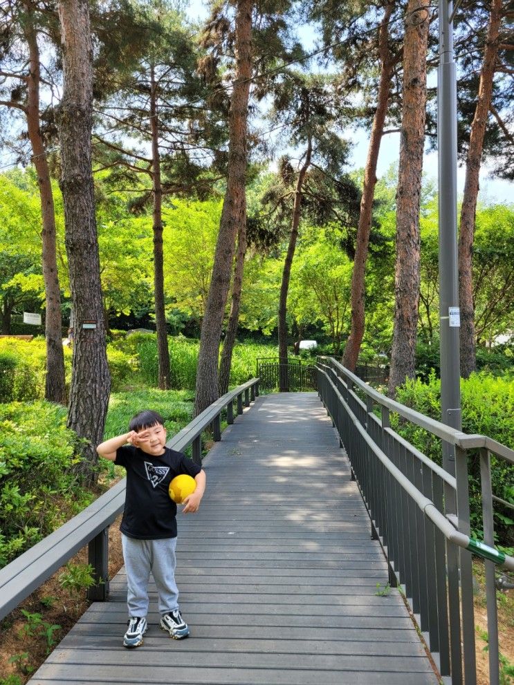 서울 봉제산 책쉼터 봉제산근린공원 속 숲놀이터 (주차정보)