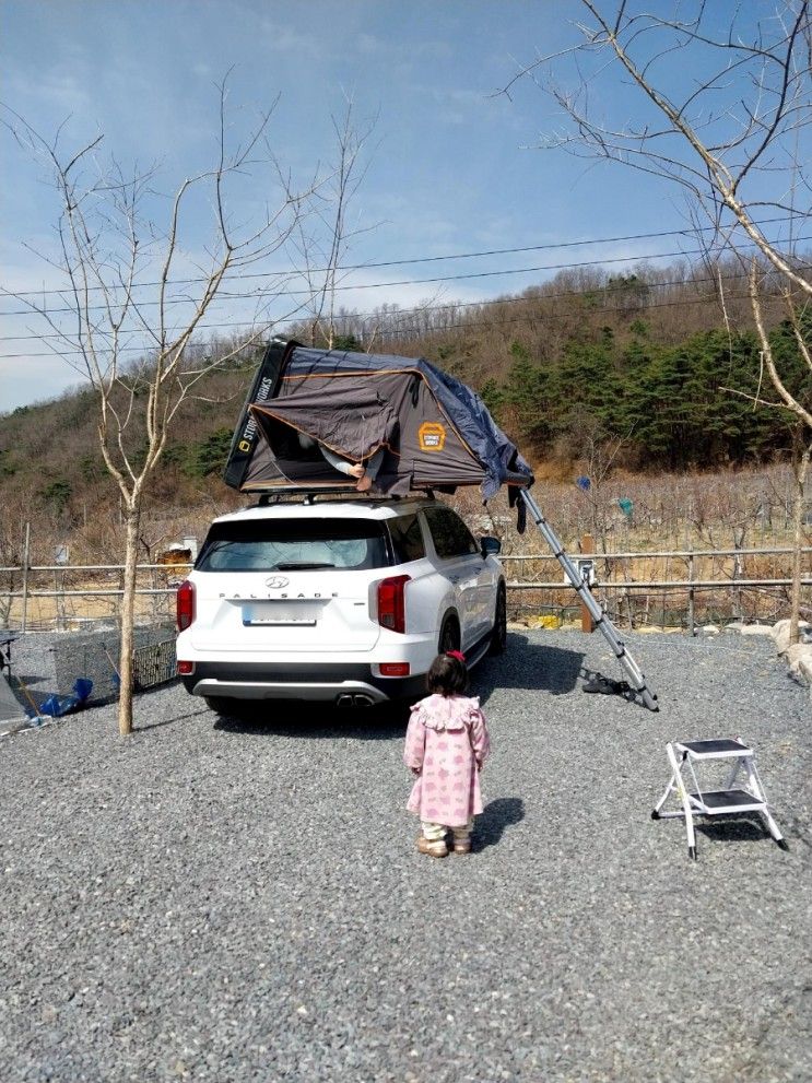 뷰맛집 팔공산캠핑장 군위 솔밭 야영장