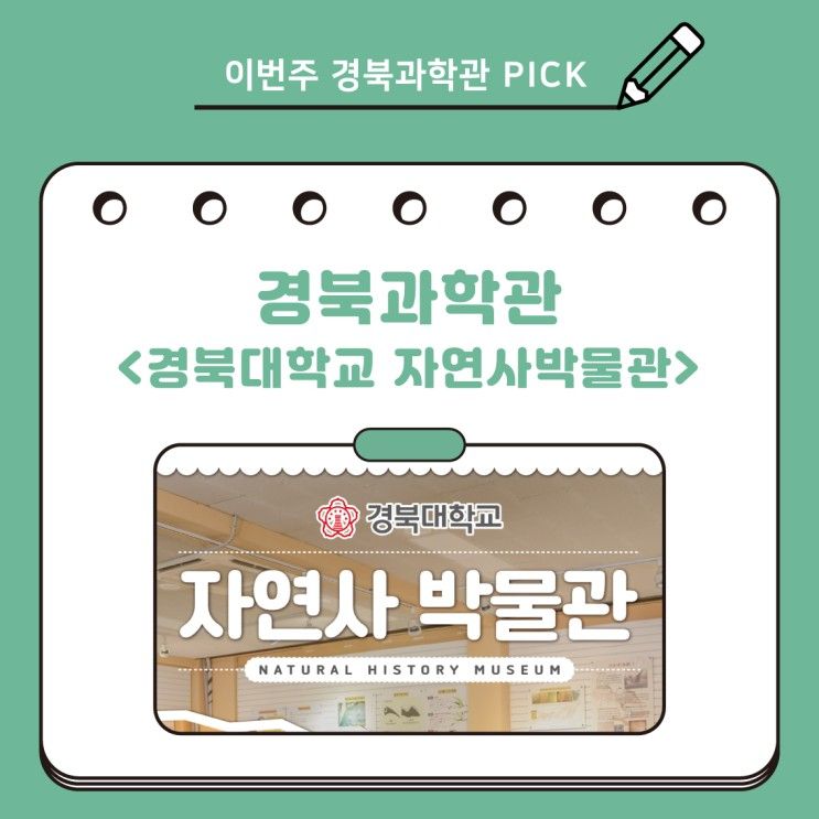 픽:PICK ✔] 폐교를 이용한 박물관~? - 경북대학교 자연사박물관