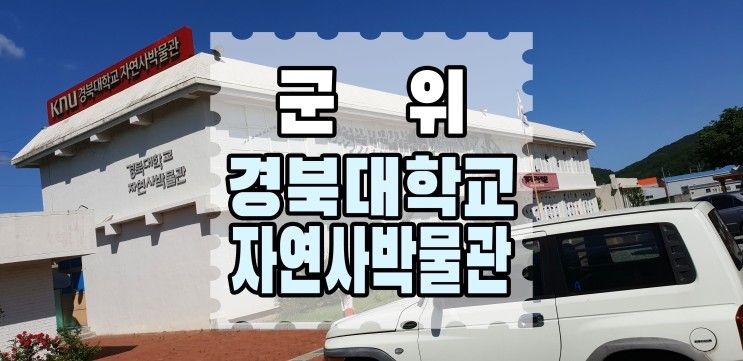 군위 아이와 가볼만한곳 경북대학교 자연사박물관