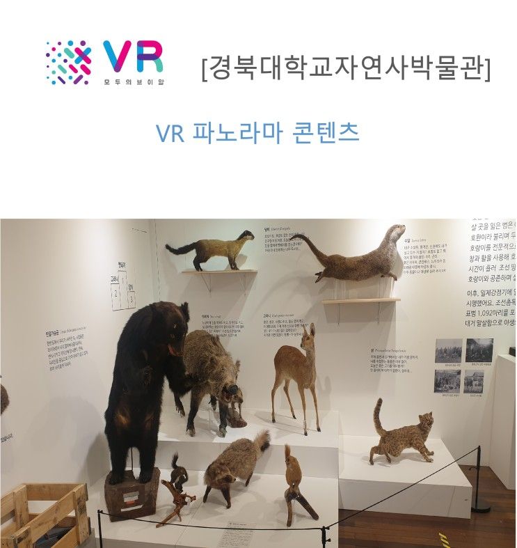 [경북대학교자연사박물관] VR 파노라마 콘텐츠