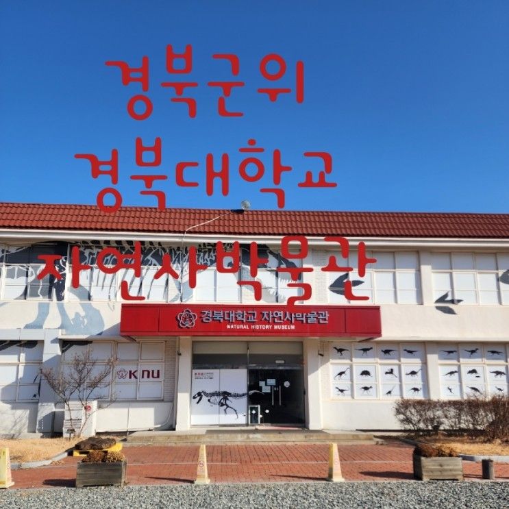 738 경북군위  경북대학교 자연사박물관