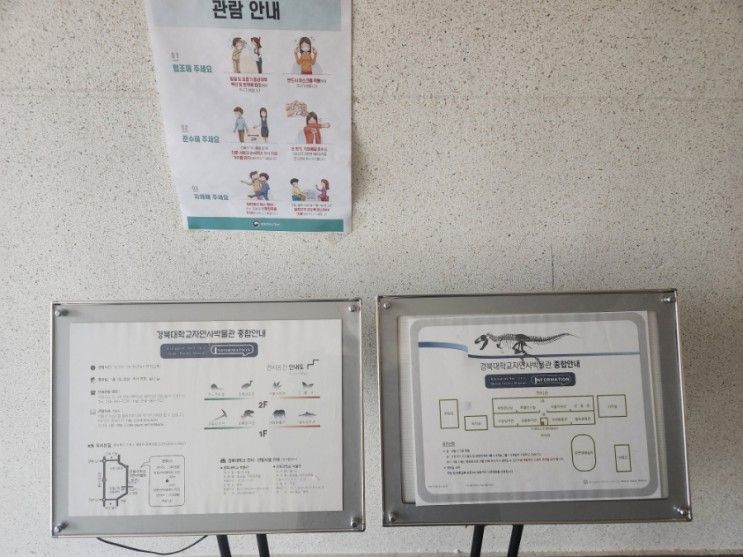 군위여행[경북대학교 자연사박물관]