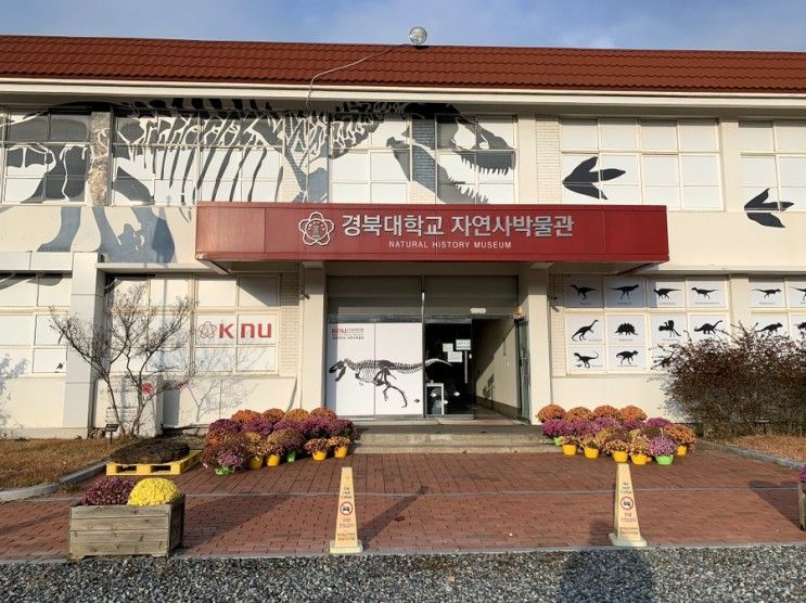 경북 경북대학교 자연사박물관(군위) - 박물관