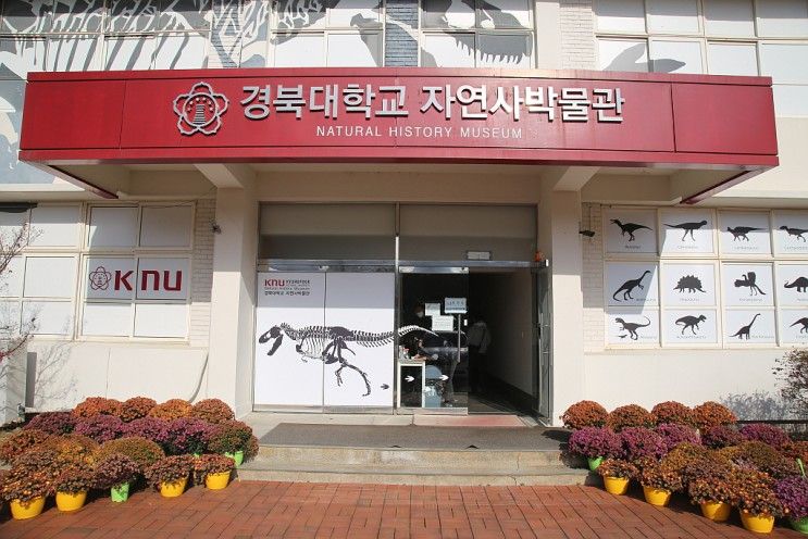 경북대학교 자연사박물관