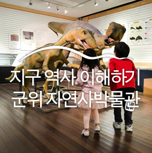 군위 경북대학교 자연사 박물관 :: 군위여행, 군위 가볼 만한 곳