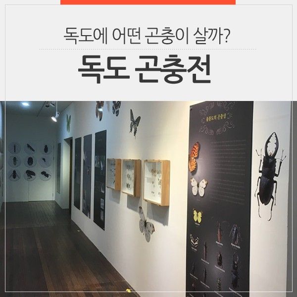 경북 아이와 가볼만한 곳 :: 군위 경북대학교자연사박물관에서...