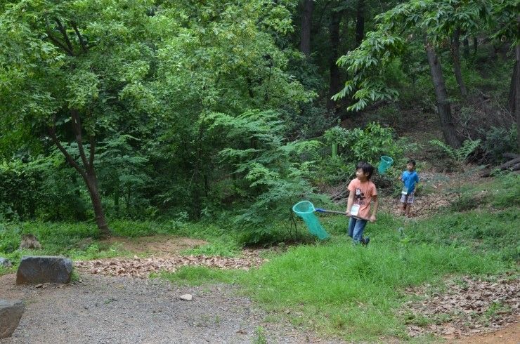 이보다 더 시원할 순 없다.(구름산 산림욕장)