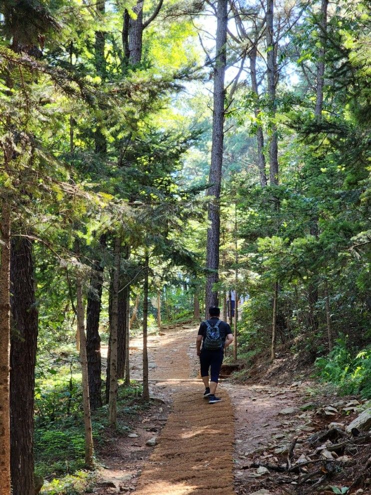 [광명나들이] 구름산산림욕장 / 까치까페