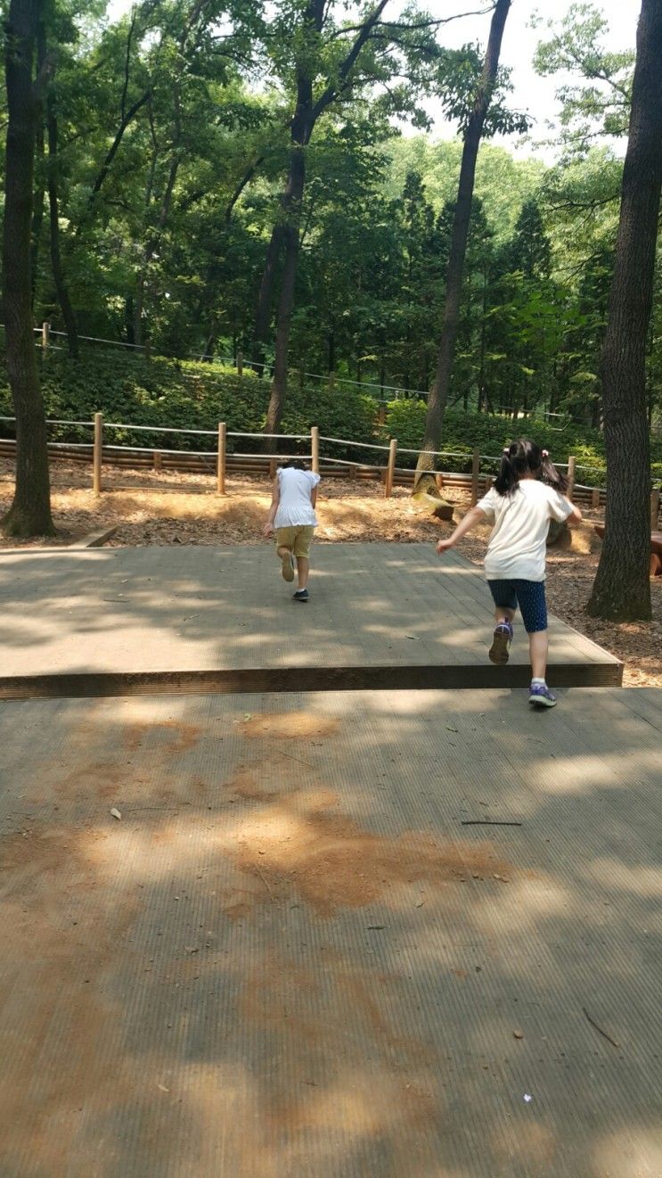 광명 갈만한 곳: 구름산 산림욕장 : 아이와 갈만한 곳