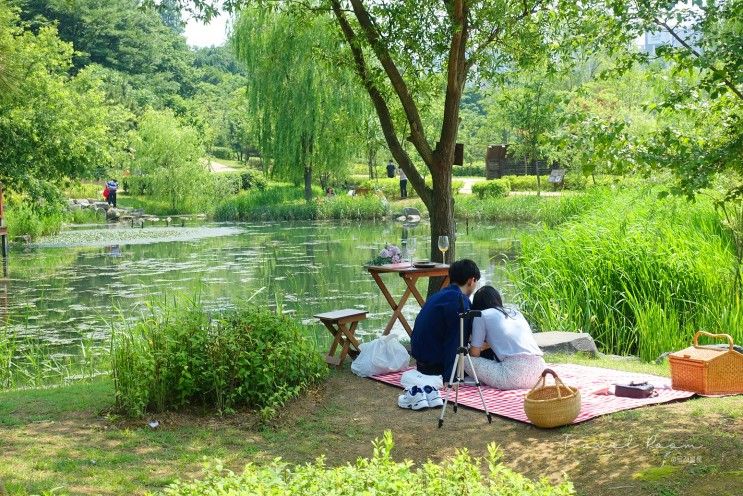 연희자연마당(청라연희공원), 인천 피크닉하기 좋은 가볼만한곳