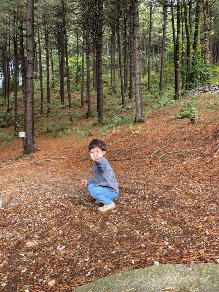 경기도 포천 가볼만한곳 캠핑장 추천[수목원프로방스]