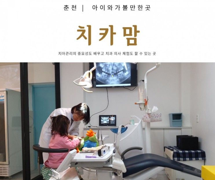 춘천 아이와 가볼만한 곳 / 치카맘 / 유아 치과 체험 / 춘천... 