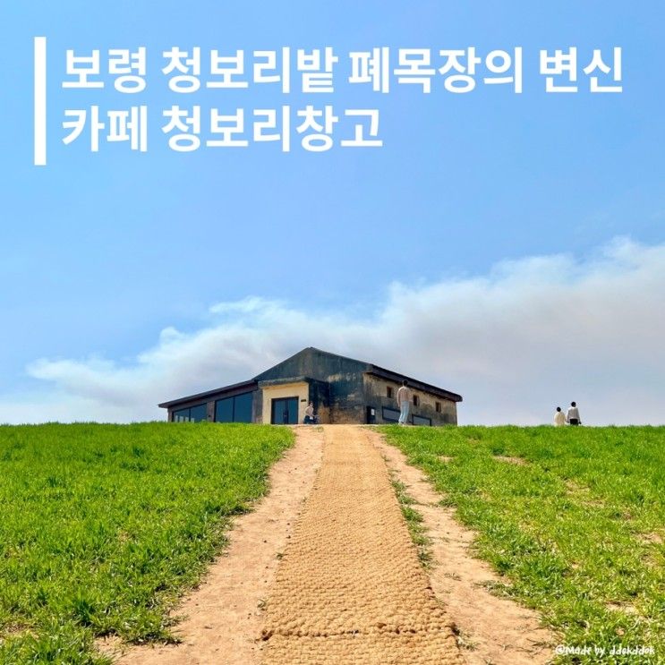 청보리밭 뷰, 보령 청보리밭 폐목장의 변신 - 카페 청보리창고