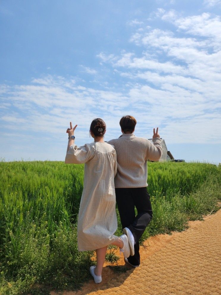 그 해 우리는촬영지 "청보리창고" + 크림라떼맛집 "우유창고"