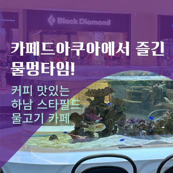 카페 드 아쿠아 하남에서 즐긴 물멍타임!