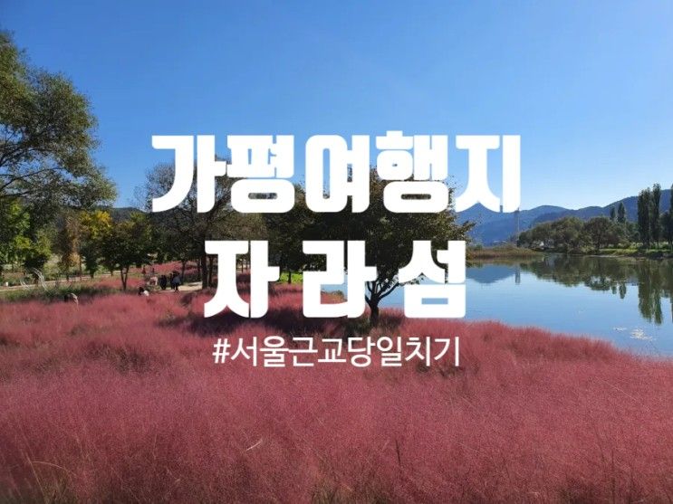 서울근교당일치기"자라섬,남도꽃정원"