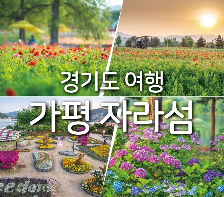 경기도 여행 가평 자라섬 남도 꽃 정원 꽃축제