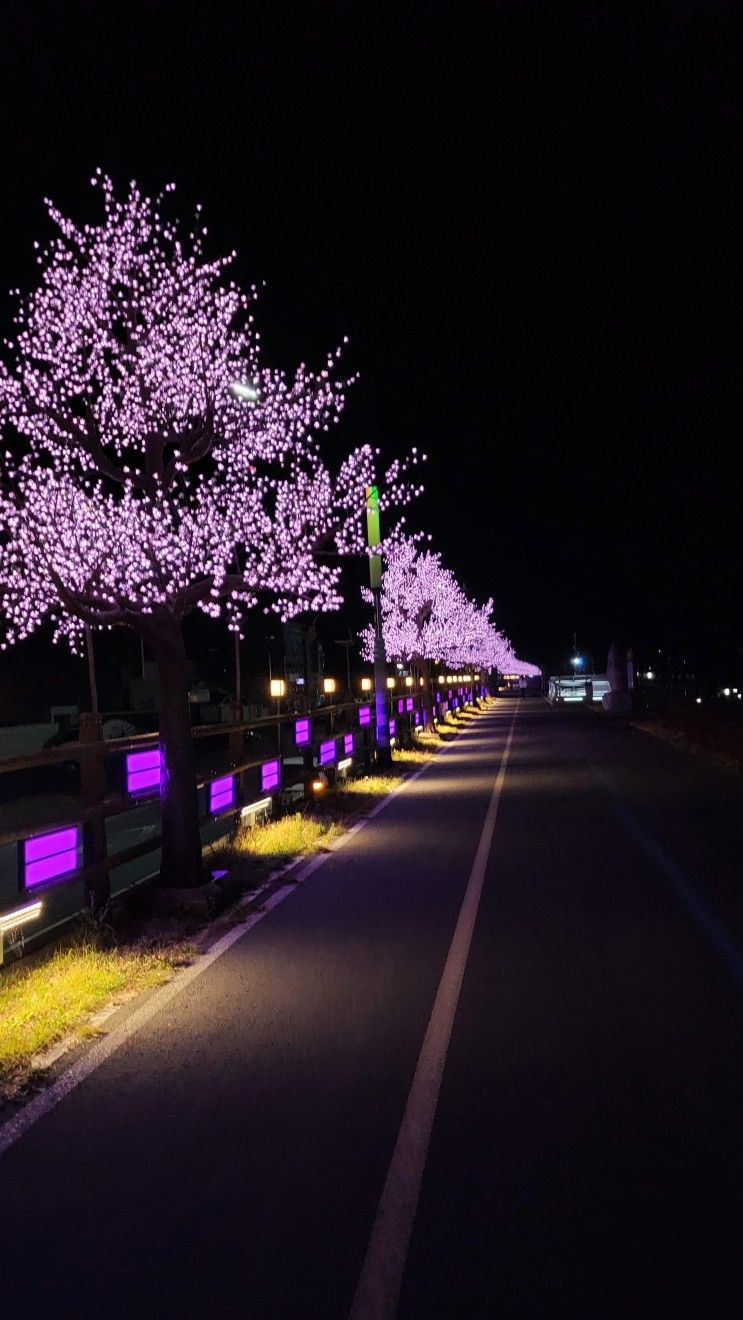 광주 근교 산책하기 좋은 곳 / 나주 영산강 황포돛배나루터