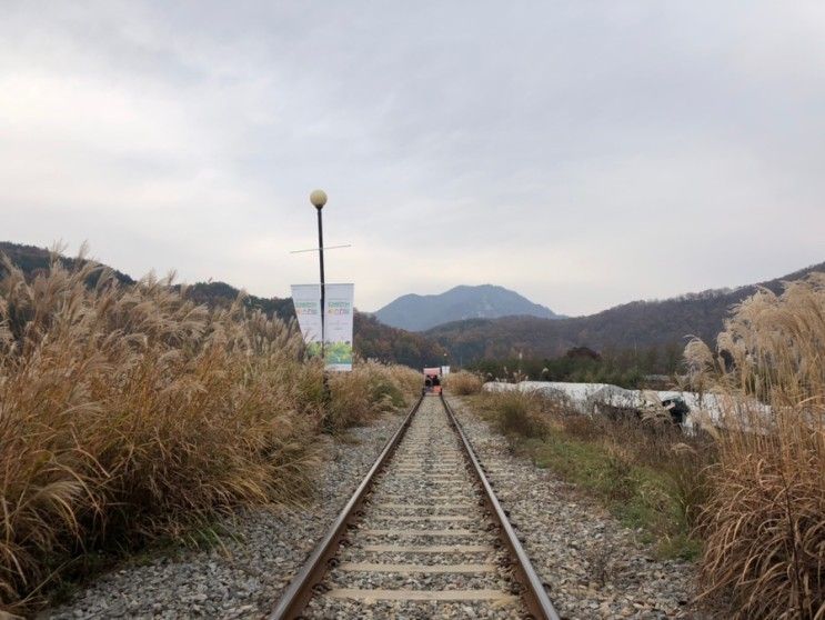 [춘천 당일치기] 김유정역 레일바이크, 춘천 낭만골목