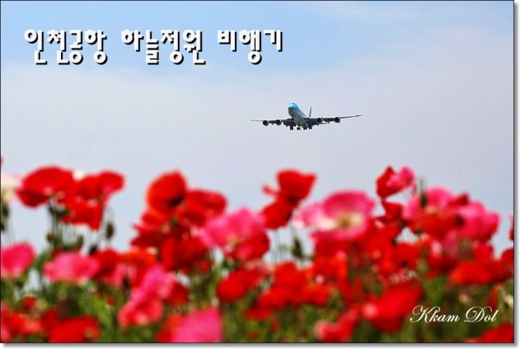 인천공항 하늘정원 비행기