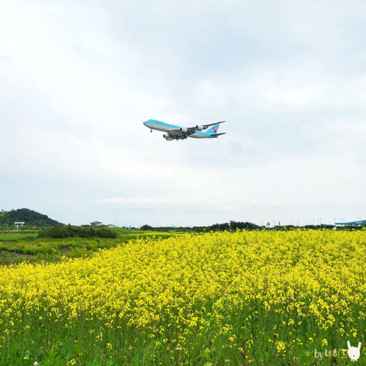 영종도 갈만한곳 인천공항 하늘정원