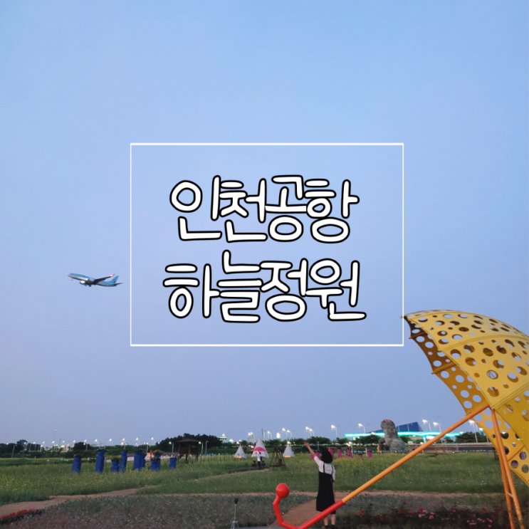 인천공항 영종도 하늘정원 하늘공원 유채꽃과 비행기와 함께