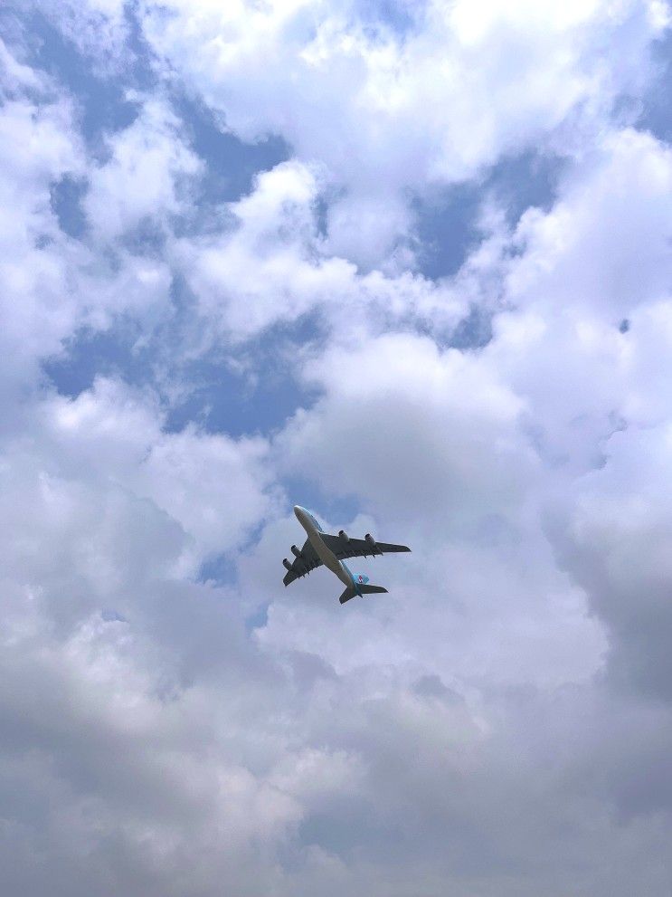 영종도 가볼만한 곳 인천공항 하늘정원 비행기와 야생화들...