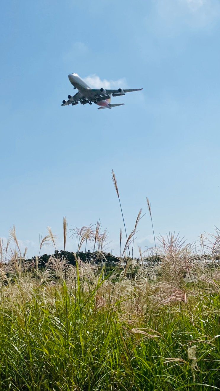 [인천/영종도] 인천공항 하늘정원