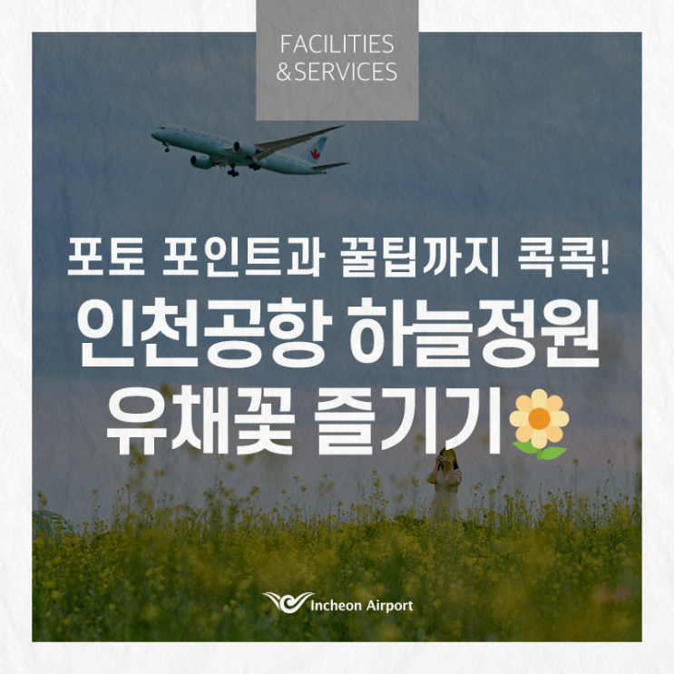 인천공항 하늘정원 유채꽃 즐기기 포토 포인트와 꿀팁까지 콕콕!