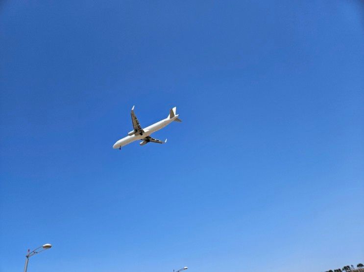 (25개월) 두돌아기랑 인천공항 하늘정원, 인천공항 홍보 전망대...